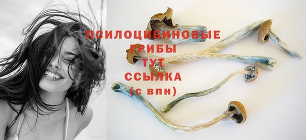 ГАЛЛЮЦИНОГЕННЫЕ ГРИБЫ Алексин