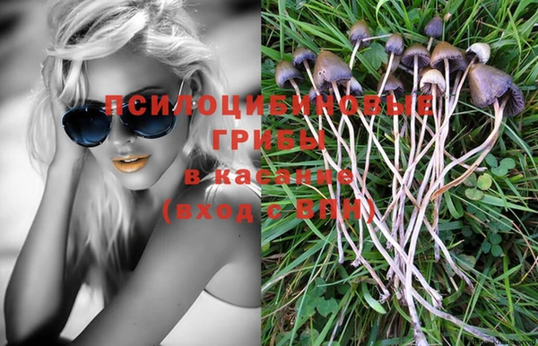 марки nbome Алексеевка