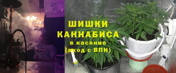крисы Иннополис