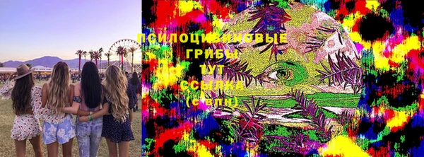ГАЛЛЮЦИНОГЕННЫЕ ГРИБЫ Алексин