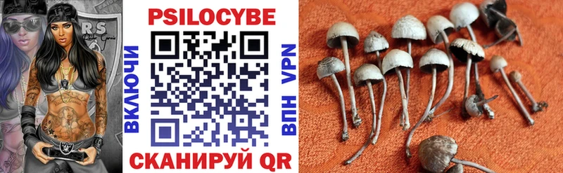 кракен ссылки  Ясный  Псилоцибиновые грибы Psilocybe 